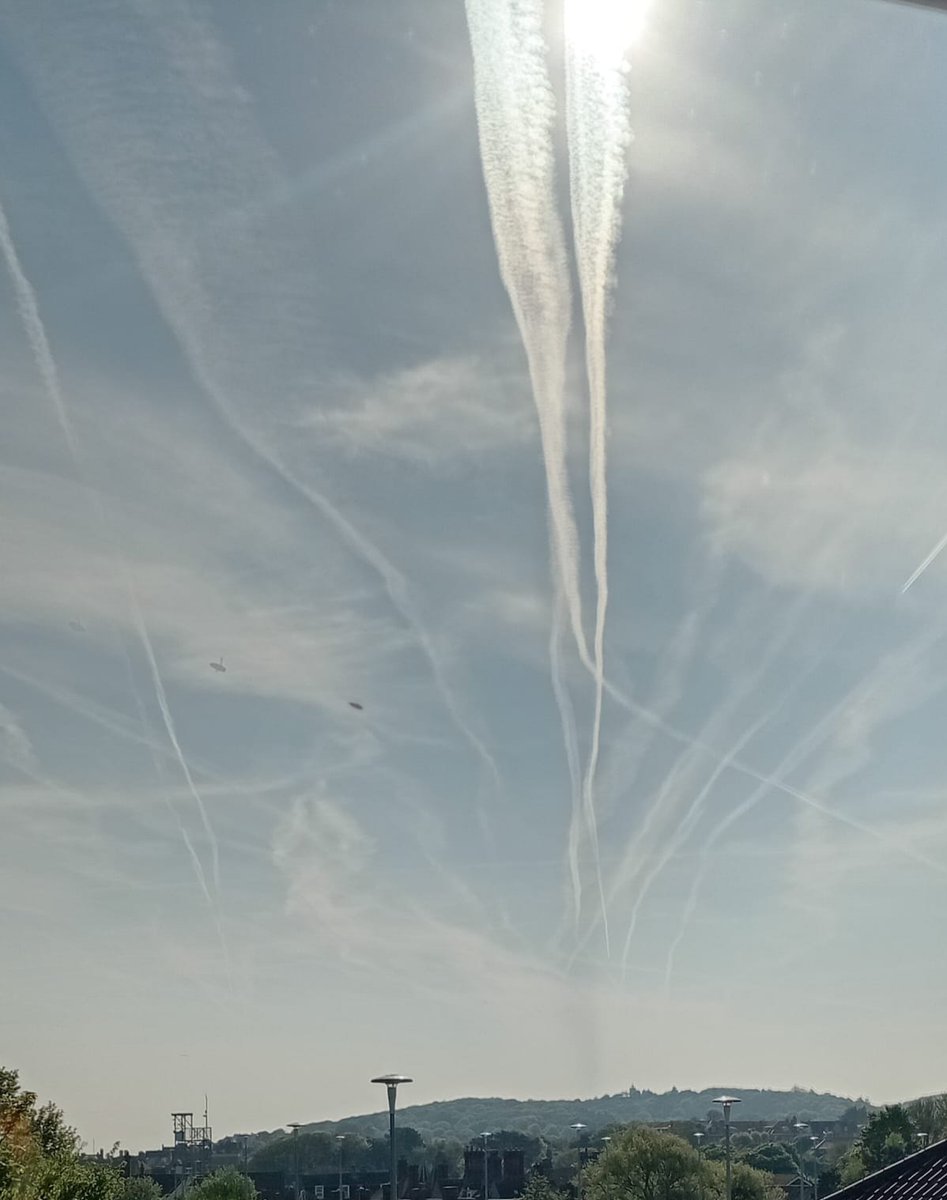 Dog off the leash. tweet media