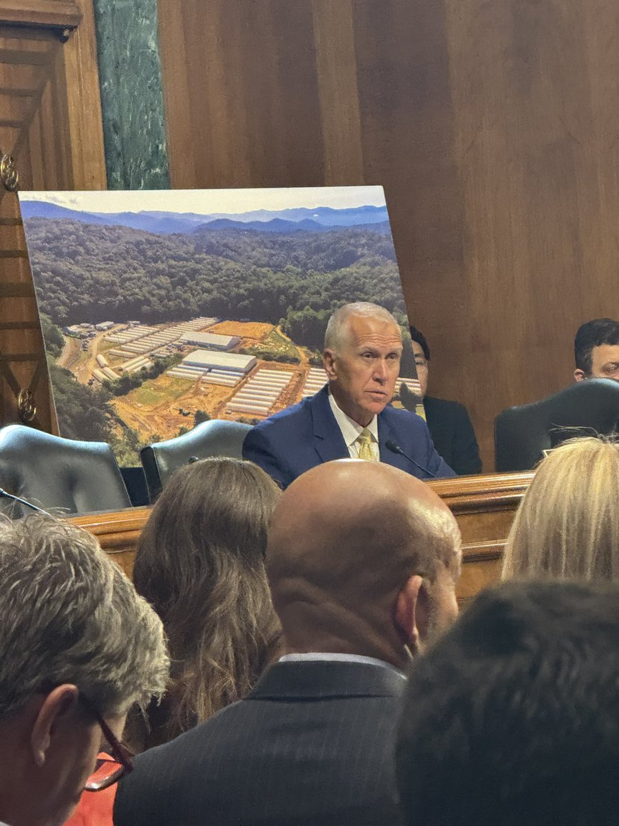 GretchenGailey's tweet image. Senator Thom Tillis questioning potential DEA Administrator Terrance Cole about looking into a national framework to correct the disparities between federal and state cannabis laws, calling it a “public health crisis.”
Tillis is 100% correct!
$msos