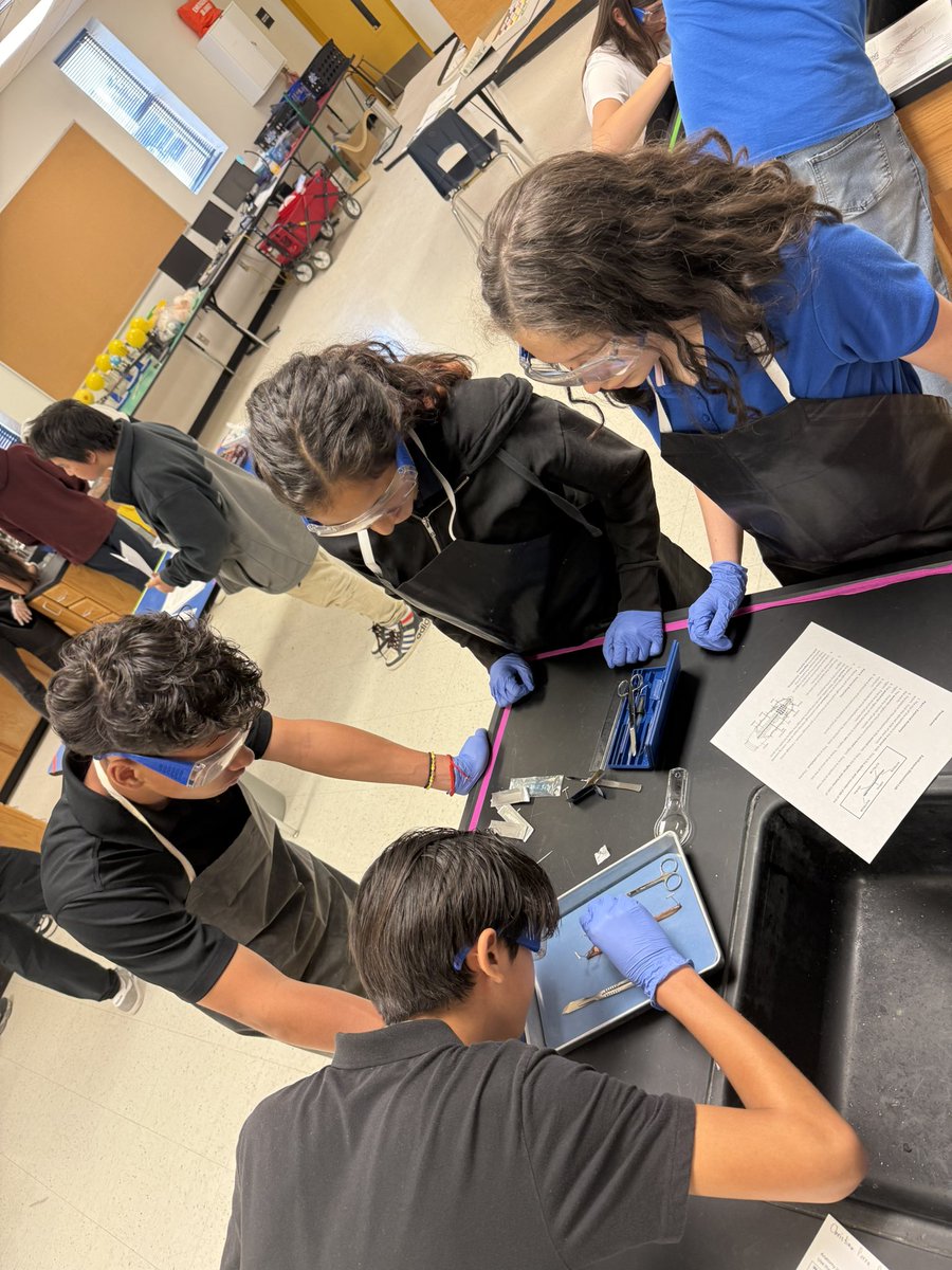 ๐๐ผ๐ป ๐๐น๐ผ๐ฟ๐ฒ๐ (@jonflores_ep) on Twitter photo 8th Grade Science doing earthworm ๐ชฑ dissections today! Great learning happening at JDS! Thank you Mr. Lobera and <a href="/FMcDonald_JDS/">Frank McDonald</a> for the work you do!! #ScienceThings #ALLIN 8th Grade Science doing earthworm ๐ชฑ dissections today! Great learning happening at JDS! Thank you Mr. Lobera and <a href="/FMcDonald_JDS/">Frank McDonald</a> for the work you do!! #ScienceThings #ALLIN
