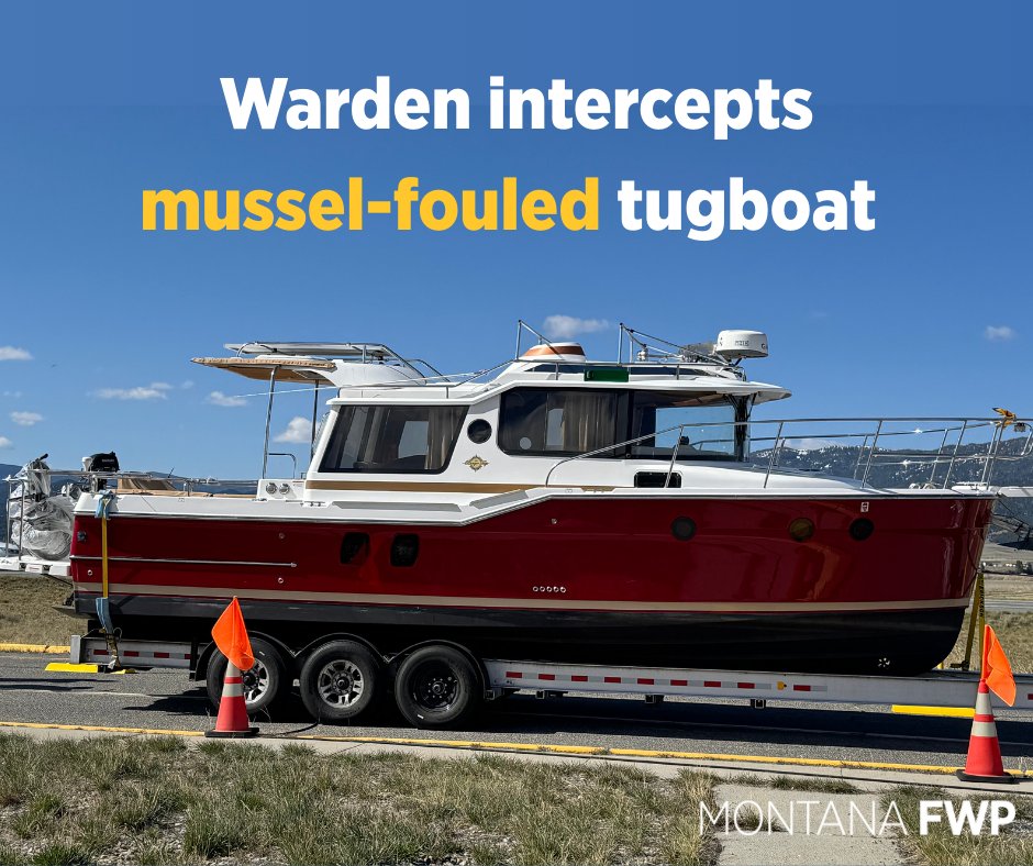 An FWP warden stopped a driver pulling a mussel-fouled tugboat after he drove past an aquatic invasive species inspection station near Anaconda last week.

This is a important reminder to always stop at all open AIS check stations.

Read more &gt;&gt; fwp.mt.gov/homepage/news/…