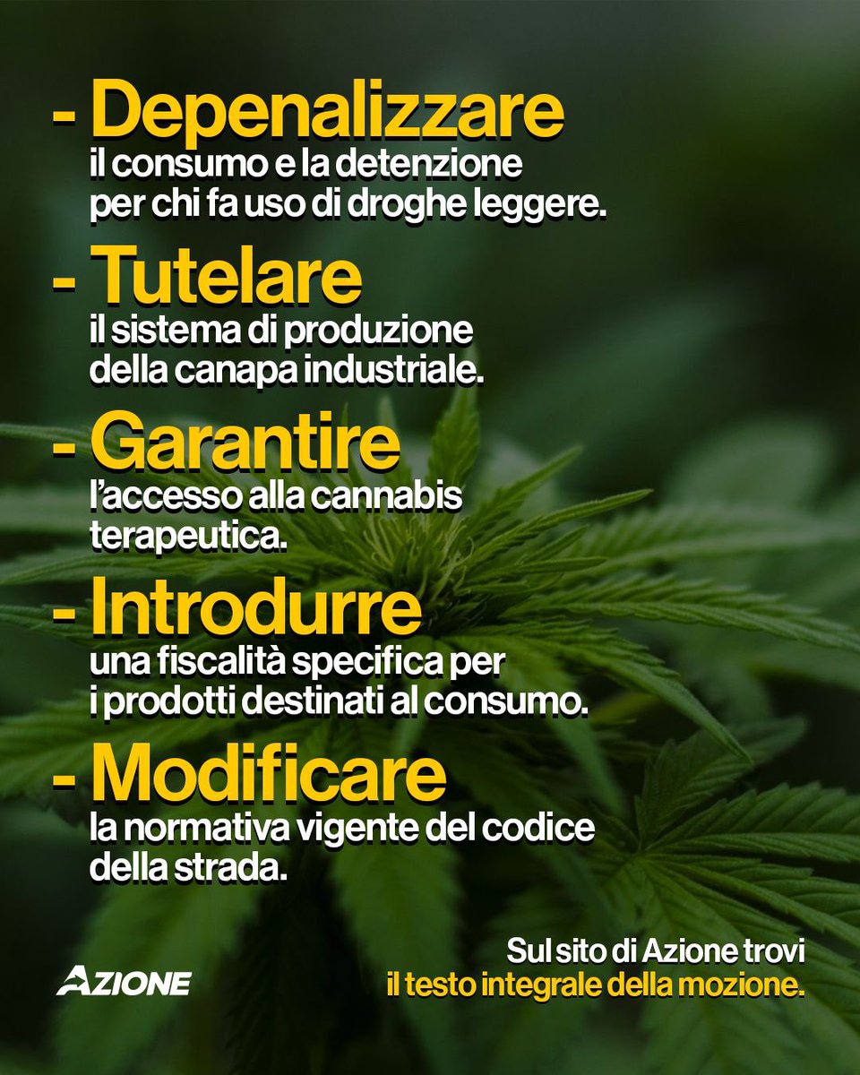 500 milioni di euro. 
È la cifra che il Governo ha mandato in fumo con il Decreto Sicurezza. 
Perfino la Regione Veneto, oggi, ha preso posizione in difesa della filiera della #canapa. Un segnale forte, che ha costretto gli autori della norma a rompere il silenzio (anche se, come