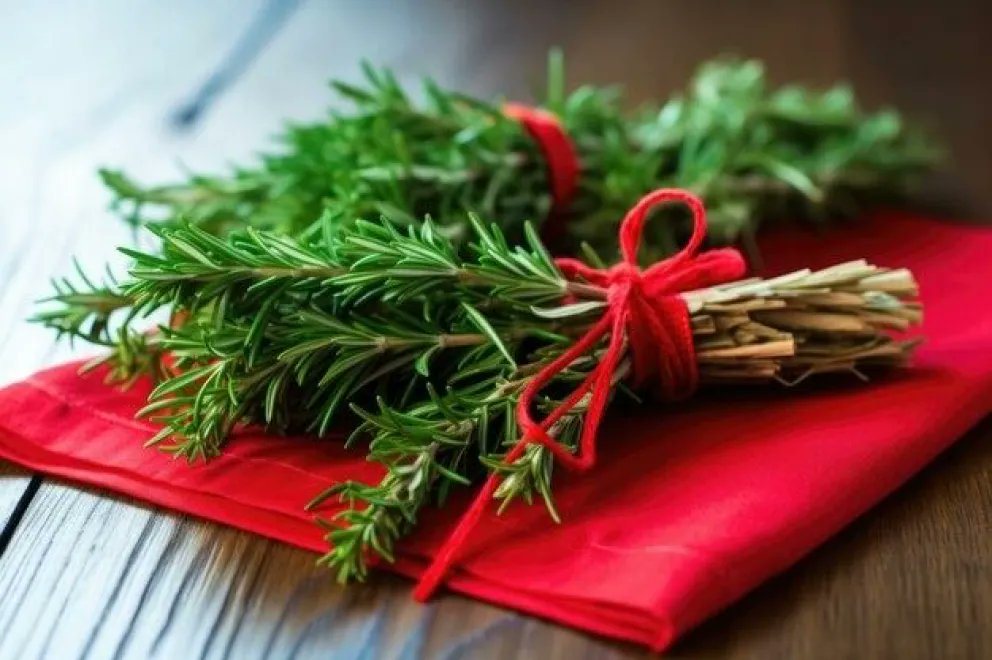 ¿Por qué hay que colgar una ramita de romero con una cinta roja en la puerta principal del hogar?

👉tinyurl.com/29cj5n6h