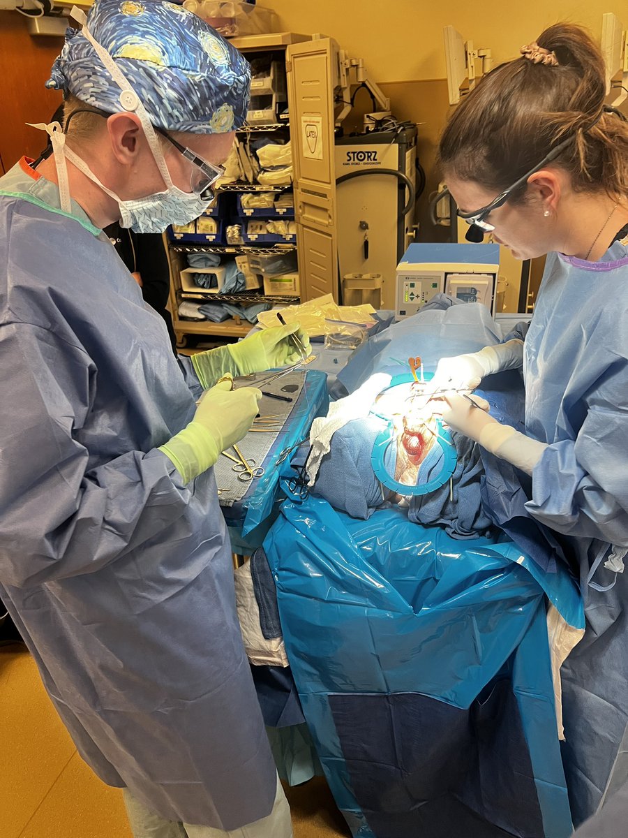 Francesca Monn tweet media