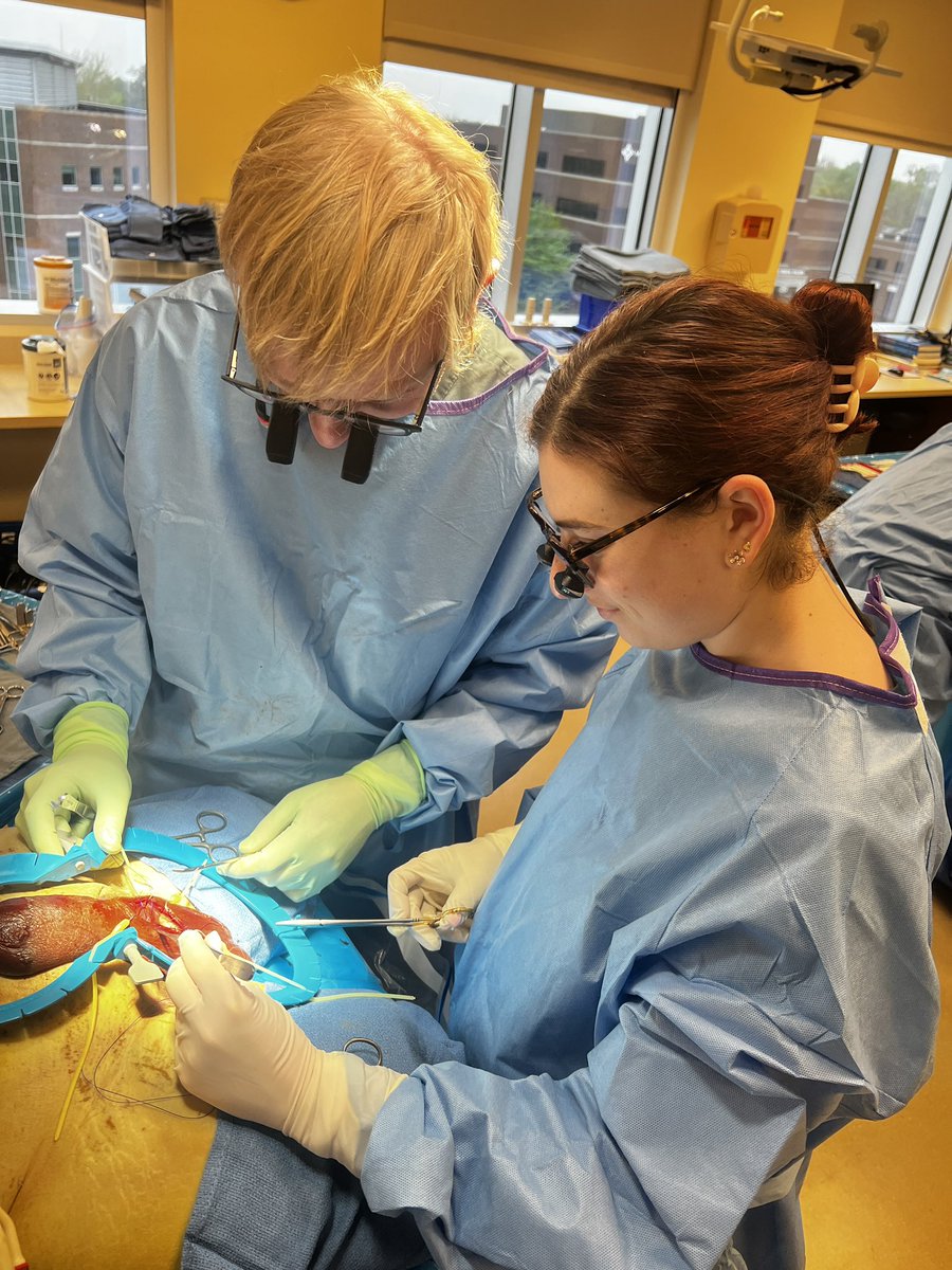 Francesca Monn tweet media