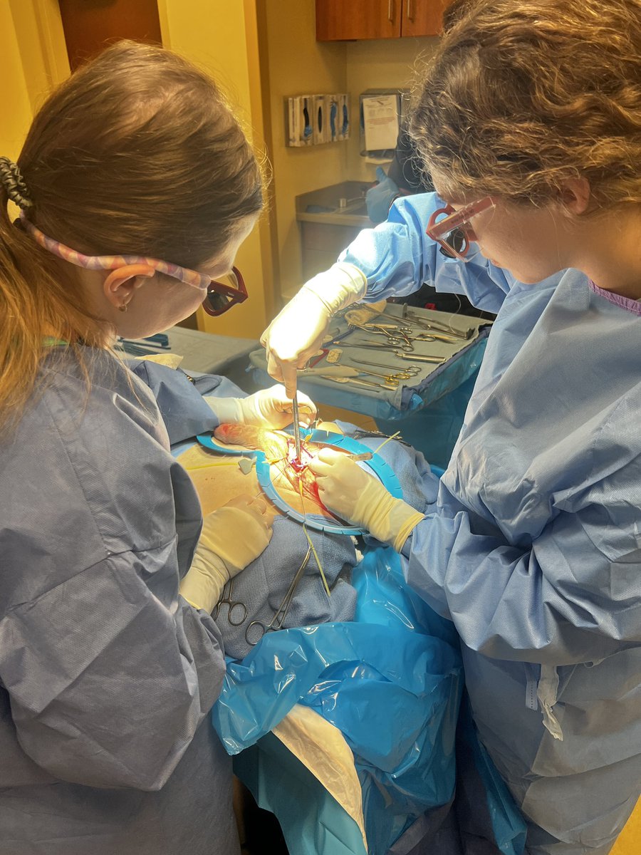 Francesca Monn tweet media