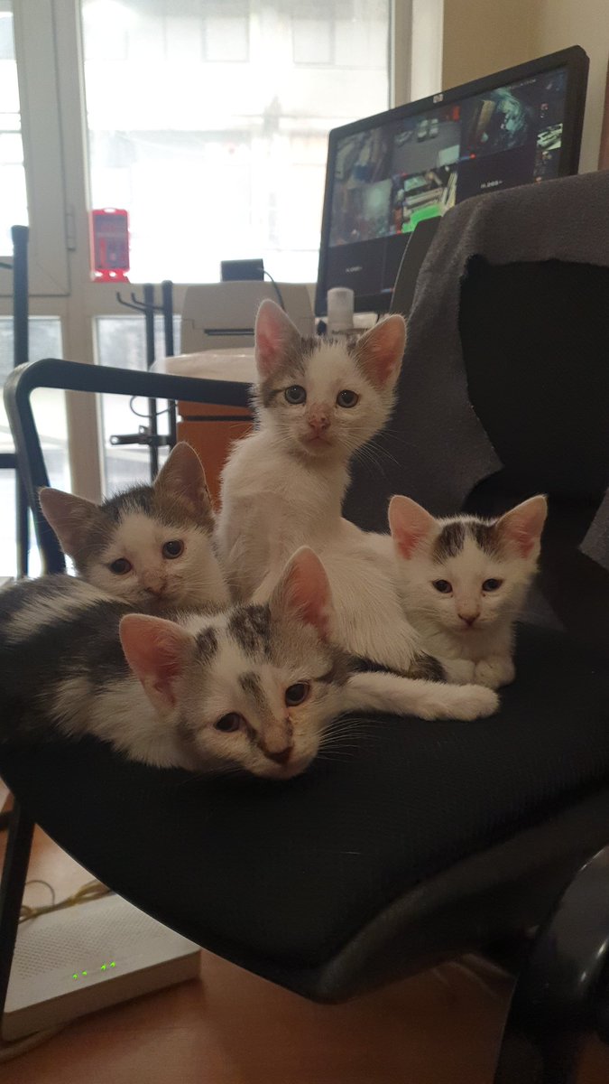 Canlarımm inşallah çok güzel yuvalarınız olacak. 🥰