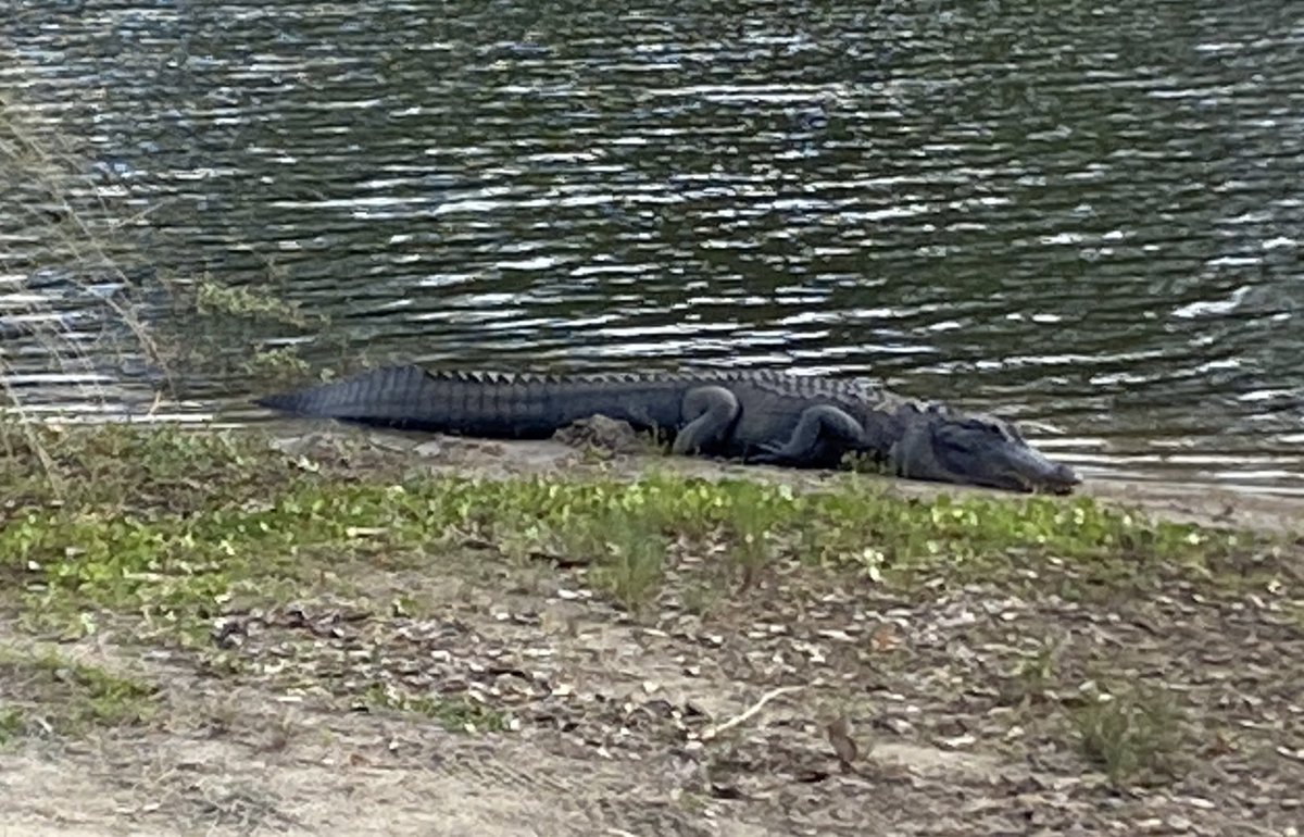 Got a little near the tee box 🏌️‍♂️