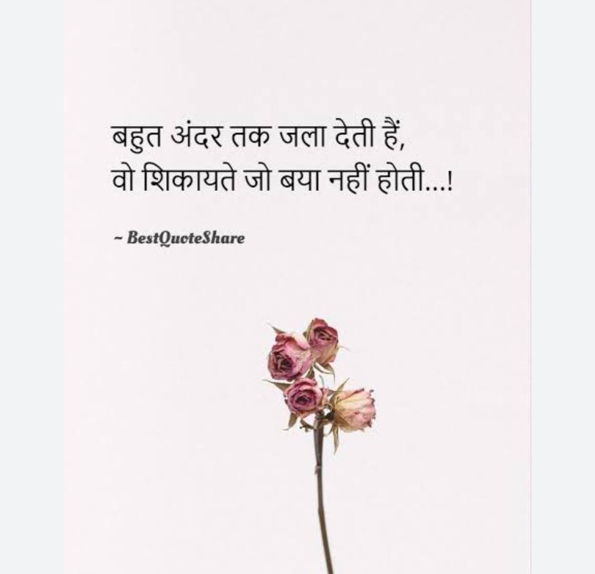 NainApurva's tweet photo. https://t.co/pQVREZBUI6