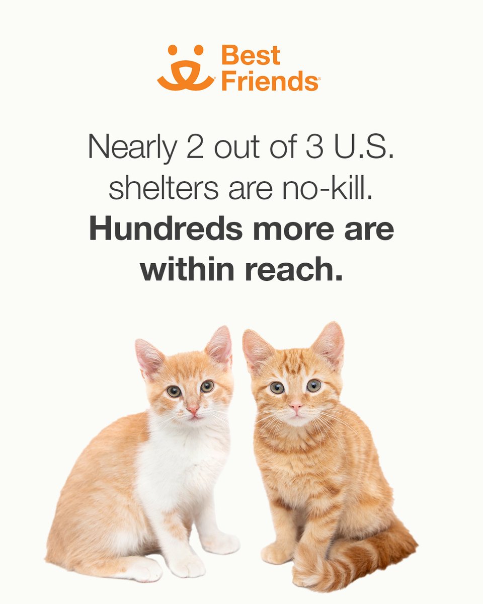 officialDannyT's tweet photo. Today is #NationalAdoptAShelterPetDay. If just 6% more people adopted, we could end killing in US Shelters!

Join @bestfriends and me in helping make our communities no-kill by adopting, fostering, volunteering, donating, or simply help spread the word!

Together we can #SaveThemAll