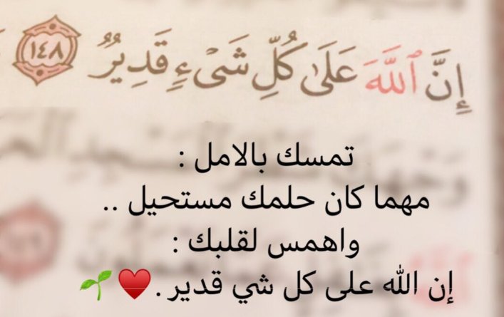 نور السبئية tweet media