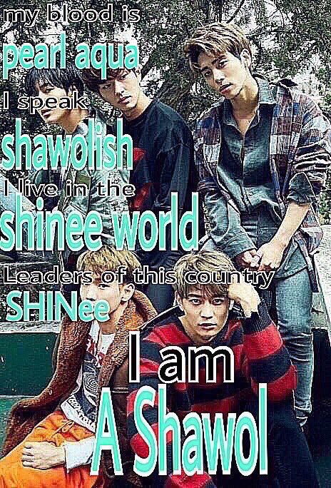 IT’S SHINEE MONTH