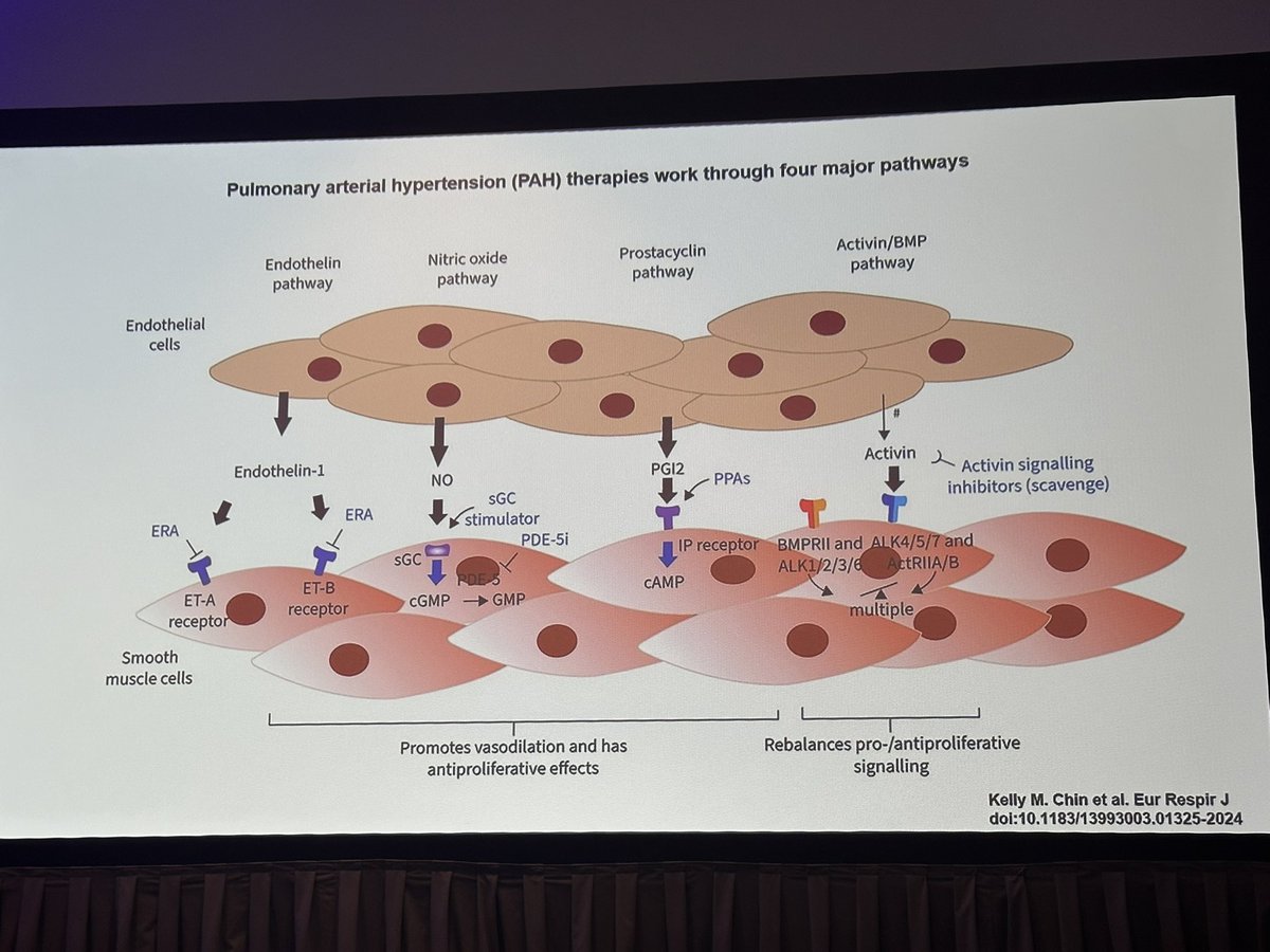 Mark Dela Cruz tweet media