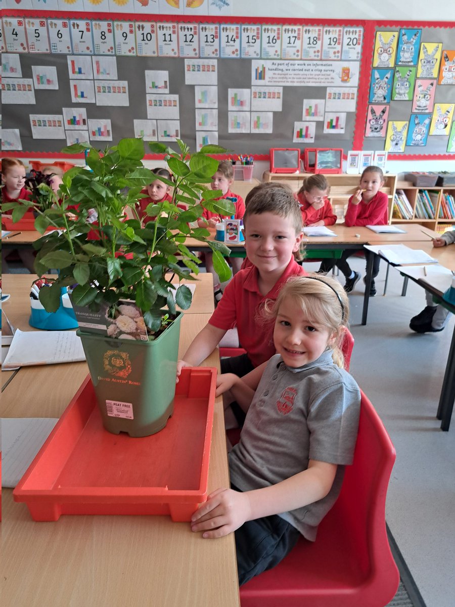 InverkipPrimary's tweet photo. P2 loved receiving another message from Bob at @BloominInverkip and were so surprised when he appeared at their door shortly afterwards! He spoke to the children about the different plants that could be part of our pallet garden and the children started to make some decisions. https://t.co/uPCMq44Bs7