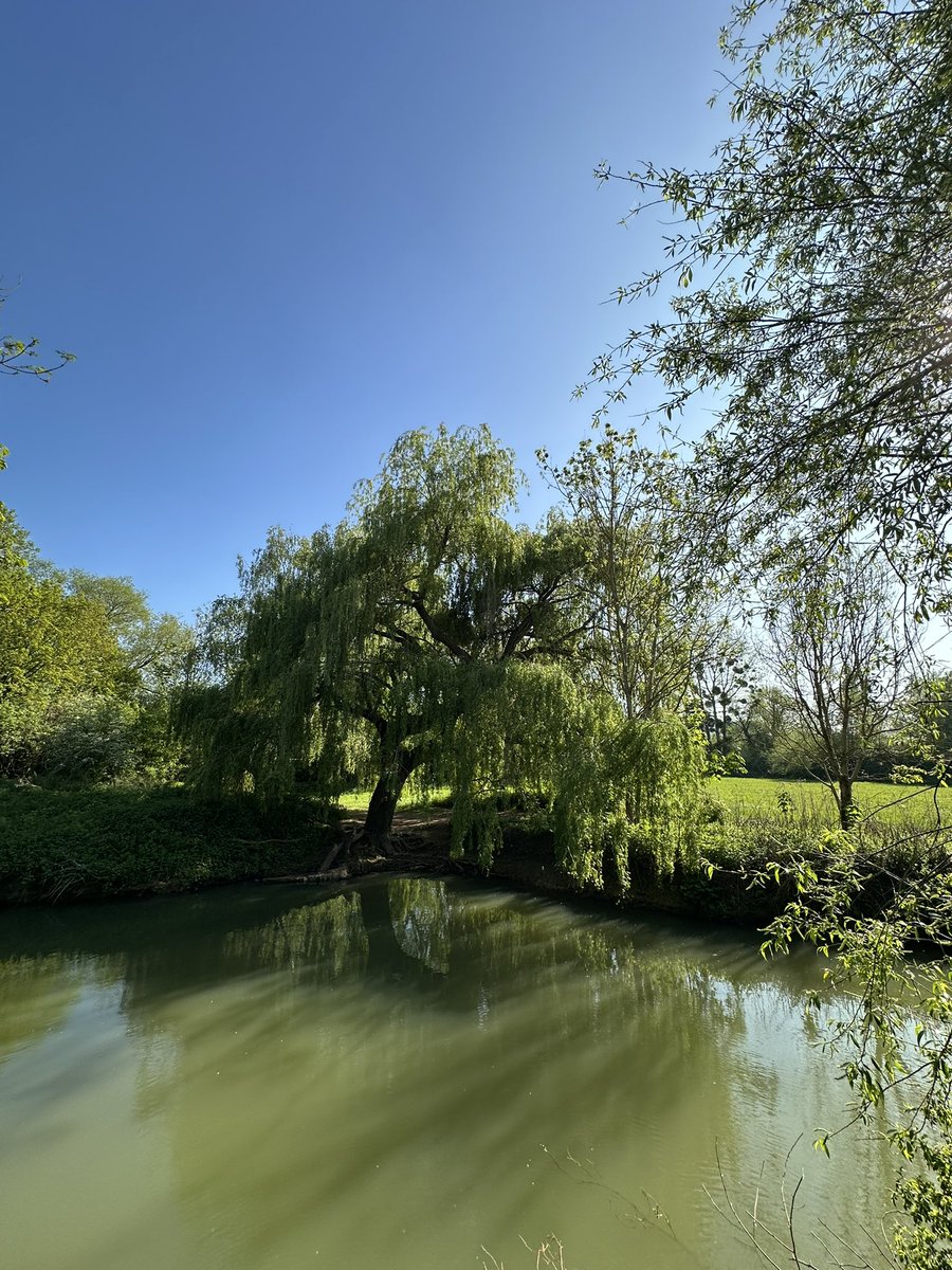 Sana inanmayan kıpkızıl gavurdur yüce rabbım.