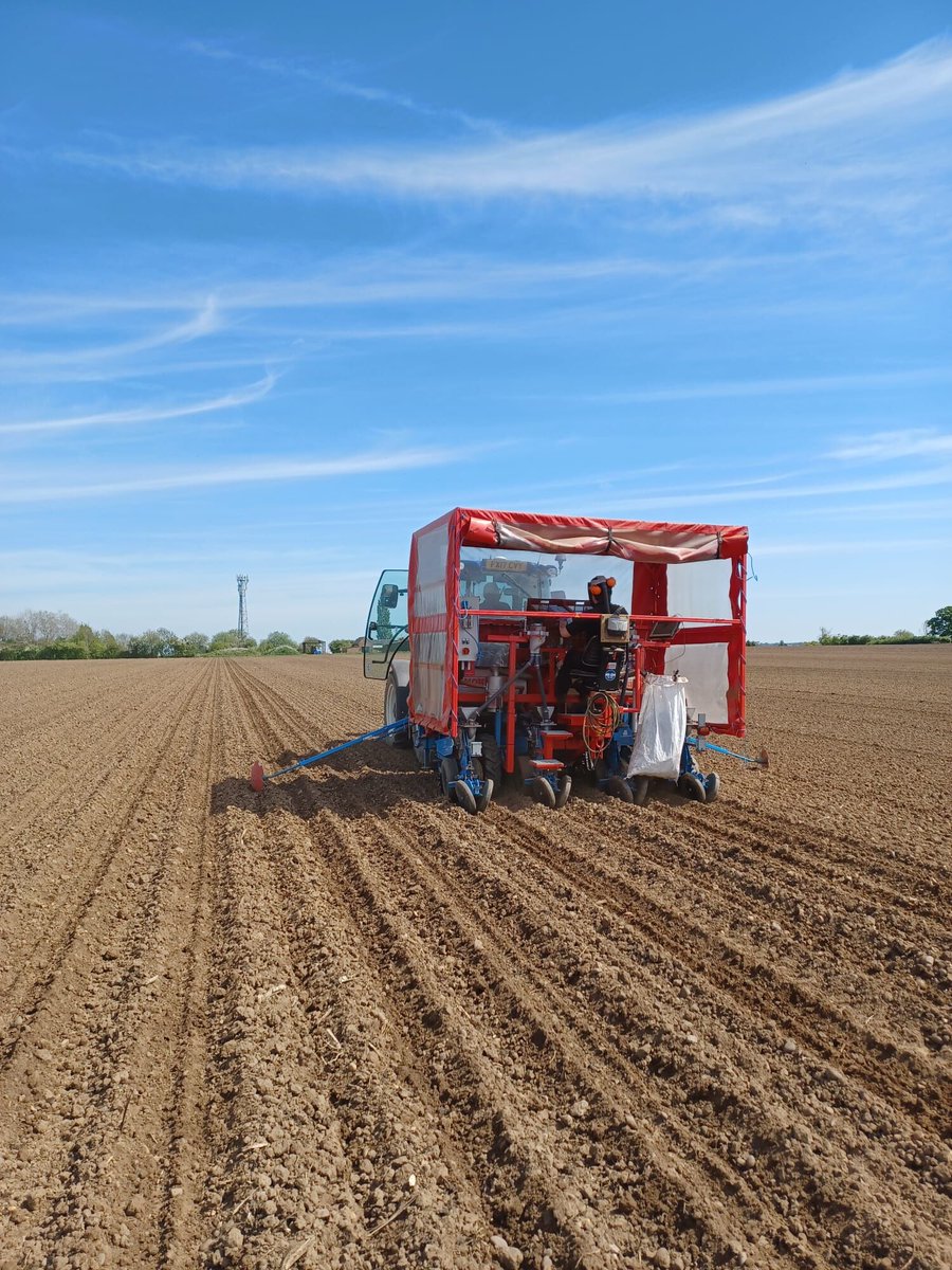 LGSeedsUK tweet media