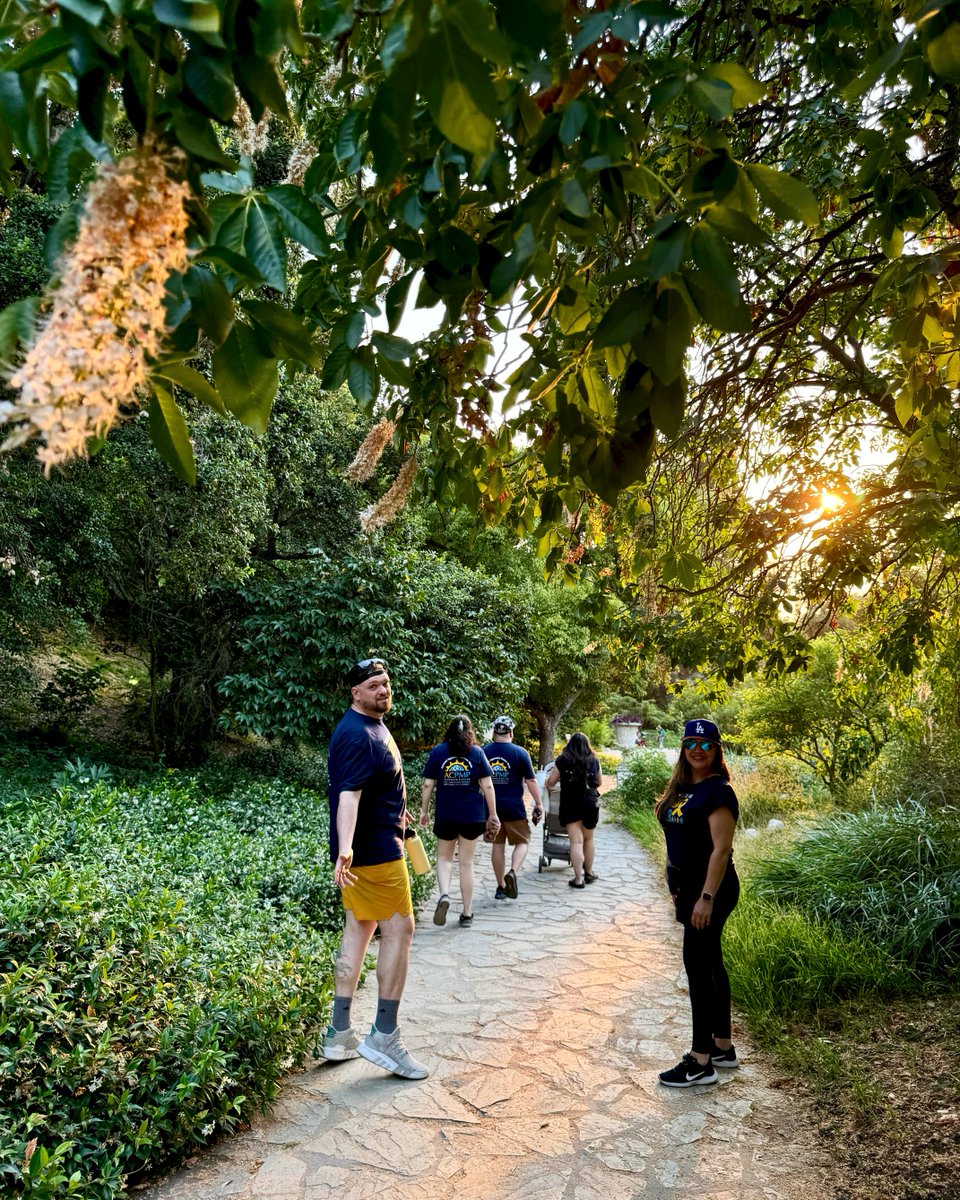 Mark your calendars for the 19th Annual Appendix Cancer Global Walk, June 7-15, 2025! 💛 

Every step we take helps raise awareness and fund vital research for appendix cancer. 

Register here: acpmp.org/event/appendix…
