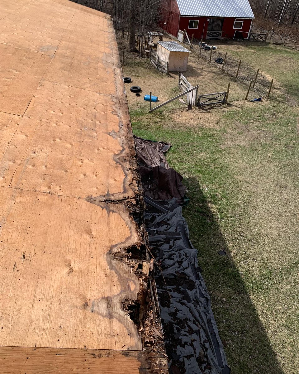 jjsroofingab's tweet photo. Just finished a 2-layer tear-off on this shop 💪
We installed new sheathing to the eaves and fixed the lack of overhang from the last install 😅
Topped it off with Owens Corning Duration – Williamsburg Grey!
📞 780-968-7777
#JJsRoofing #RoofLife #SupportLoca https://t.co/SdiN4cR6Gn