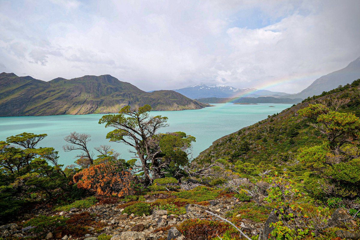 I'm German.

Over 6 years ago, I moved to Chile. The experience shattered my Western mindset.

Here's a list of 7 things that are better in Chile than Germany:🧵