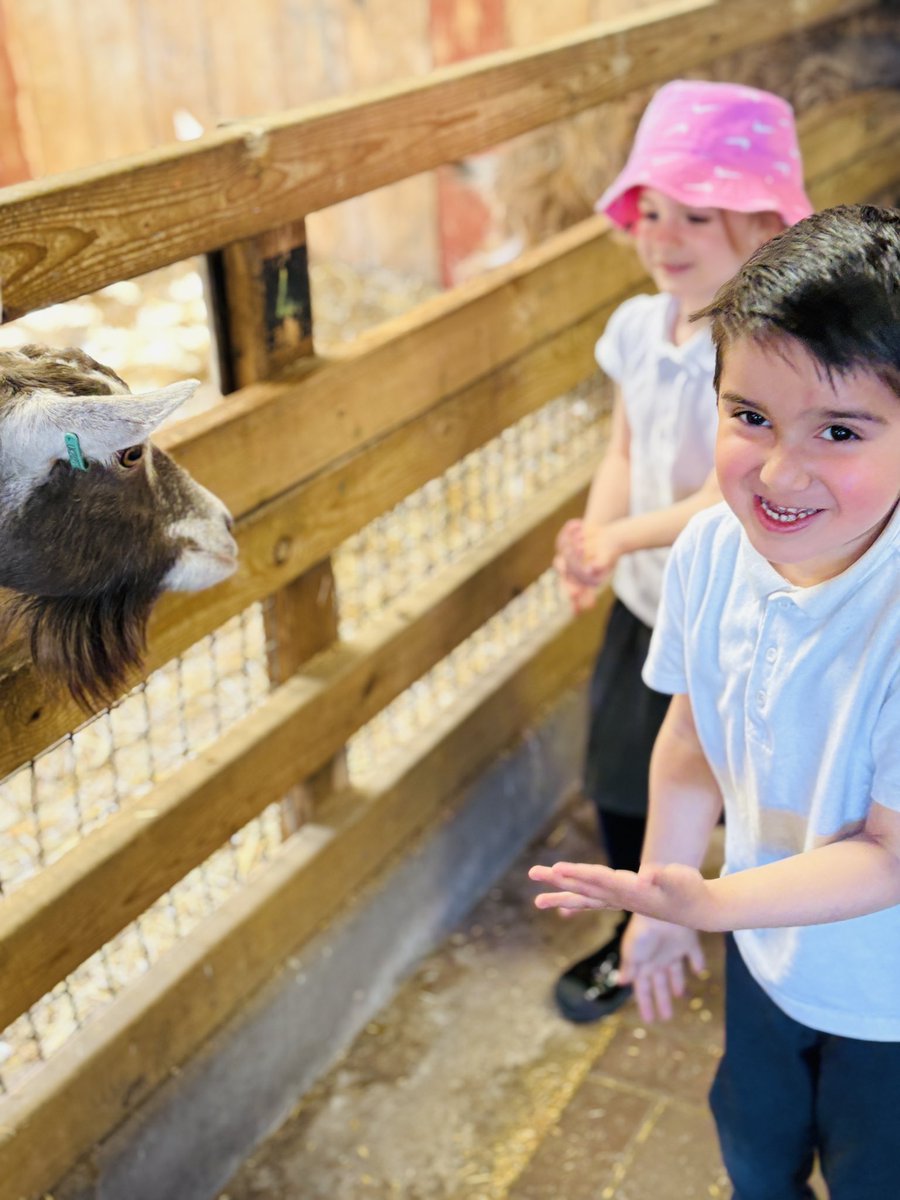 Fiona Hartwell (@fiona_hartwell) on Twitter photo The children in RFH thoroughly enjoyed their adventure <a href="/AshEndHouseFarm/">Ash End House Farm</a> today. Our sincere thanks to Farmer Jenny for making the day such a positive experience. <a href="/Lea_Forest_Lift/">Lift Lea Forest - Official Account</a> <a href="/LiftSchools/">Lift Schools</a> <a href="/LLF_DHT/">Mr. White DHT </a> <a href="/LLF_Dep/">Miss Francois</a> <a href="/MissThomas124/">Miss Thomas</a> The children in RFH thoroughly enjoyed their adventure <a href="/AshEndHouseFarm/">Ash End House Farm</a> today. Our sincere thanks to Farmer Jenny for making the day such a positive experience. <a href="/Lea_Forest_Lift/">Lift Lea Forest - Official Account</a> <a href="/LiftSchools/">Lift Schools</a> <a href="/LLF_DHT/">Mr. White DHT </a> <a href="/LLF_Dep/">Miss Francois</a> <a href="/MissThomas124/">Miss Thomas</a>
