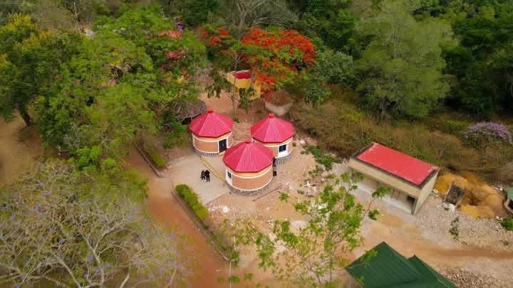 freezle_'s tweet photo. New Face of Jos Wildlife Park. https://t.co/TQkfjCV1cw
