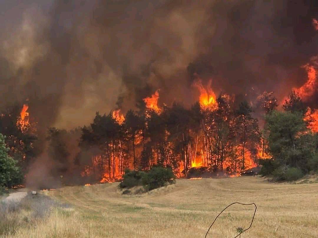 "وَلِلَّهِ جُنُودُ السَّمَاوَاتِ وَالْأَرْضِ وَكَانَ اللَّهُ عَزِيزًا حَكِيمًا"

اللهم أَرنا في بني صـهيون آياتٍ أَشد وأَعظَم مِما نزل فِي آبائهم الاولِين 
#حرائق_القدس