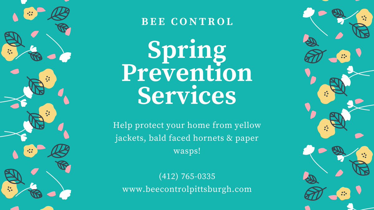 Say goodbye to yellowjackets, hornets, wasps &amp; carpenter bees! 🐝 Bee Control offers expert inspection and EPA-approved treatments. Call (412) 765-0335 or visit beecontrolpittsburgh.com/prevention. #PittsburghPestControl #BeeControl #StingingInsects
