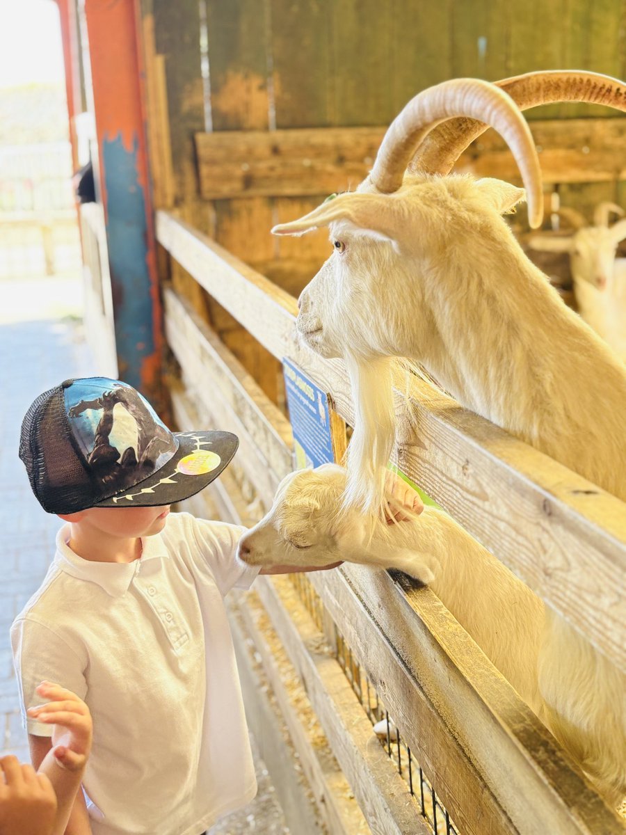 Fiona Hartwell (@fiona_hartwell) on Twitter photo The children in RFH thoroughly enjoyed their adventure <a href="/AshEndHouseFarm/">Ash End House Farm</a> today. Our sincere thanks to Farmer Jenny for making the day such a positive experience. <a href="/Lea_Forest_Lift/">Lift Lea Forest - Official Account</a> <a href="/LiftSchools/">Lift Schools</a> <a href="/LLF_DHT/">Mr. White DHT </a> <a href="/LLF_Dep/">Miss Francois</a> <a href="/MissThomas124/">Miss Thomas</a> The children in RFH thoroughly enjoyed their adventure <a href="/AshEndHouseFarm/">Ash End House Farm</a> today. Our sincere thanks to Farmer Jenny for making the day such a positive experience. <a href="/Lea_Forest_Lift/">Lift Lea Forest - Official Account</a> <a href="/LiftSchools/">Lift Schools</a> <a href="/LLF_DHT/">Mr. White DHT </a> <a href="/LLF_Dep/">Miss Francois</a> <a href="/MissThomas124/">Miss Thomas</a>
