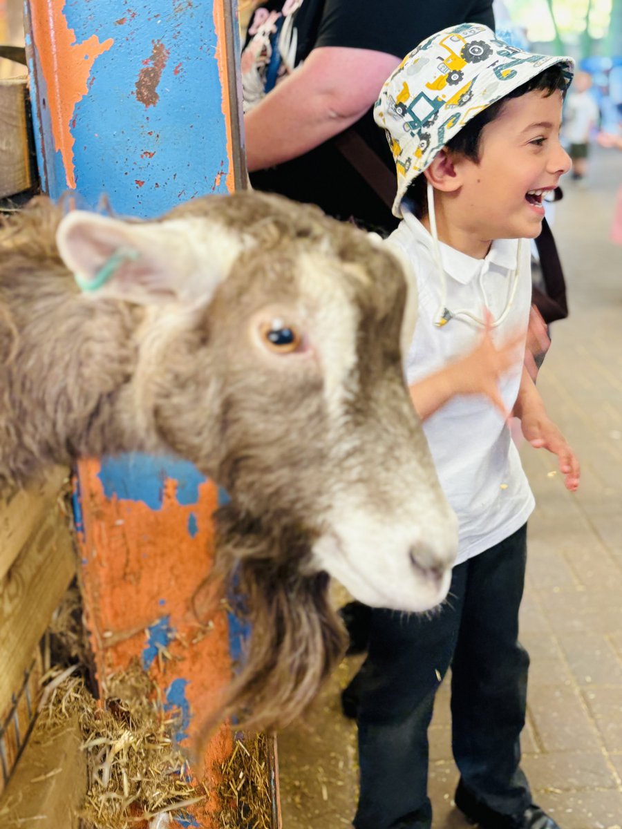 Fiona Hartwell (@fiona_hartwell) on Twitter photo The children in RFH thoroughly enjoyed their adventure <a href="/AshEndHouseFarm/">Ash End House Farm</a> today. Our sincere thanks to Farmer Jenny for making the day such a positive experience. <a href="/Lea_Forest_Lift/">Lift Lea Forest - Official Account</a> <a href="/LiftSchools/">Lift Schools</a> <a href="/LLF_DHT/">Mr. White DHT </a> <a href="/LLF_Dep/">Miss Francois</a> <a href="/MissThomas124/">Miss Thomas</a> The children in RFH thoroughly enjoyed their adventure <a href="/AshEndHouseFarm/">Ash End House Farm</a> today. Our sincere thanks to Farmer Jenny for making the day such a positive experience. <a href="/Lea_Forest_Lift/">Lift Lea Forest - Official Account</a> <a href="/LiftSchools/">Lift Schools</a> <a href="/LLF_DHT/">Mr. White DHT </a> <a href="/LLF_Dep/">Miss Francois</a> <a href="/MissThomas124/">Miss Thomas</a>