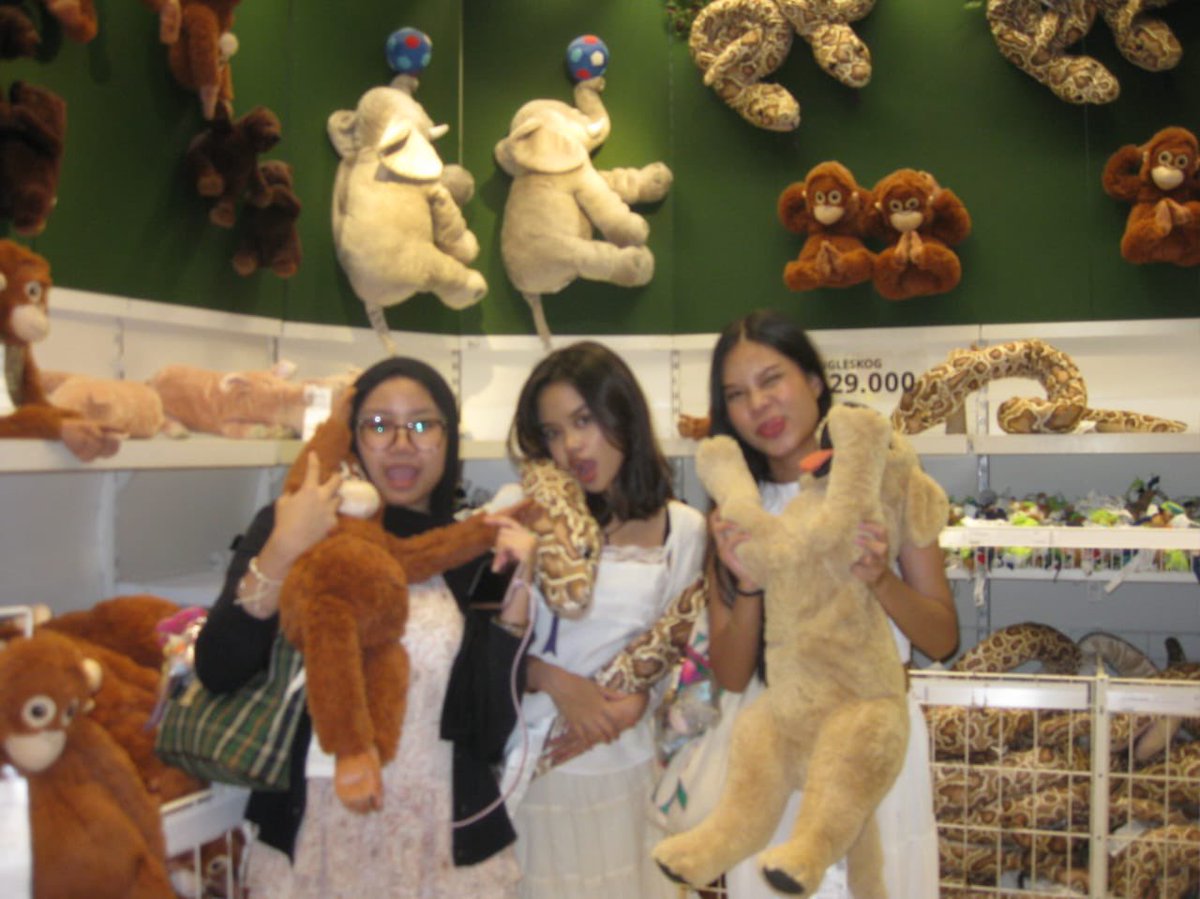 RainbowPoosey's tweet photo. 🦧🐍🐕
#PULGU #ALMA #NAYLA #RAINBOWPOOSEY https://t.co/F8eLiRp6Kg