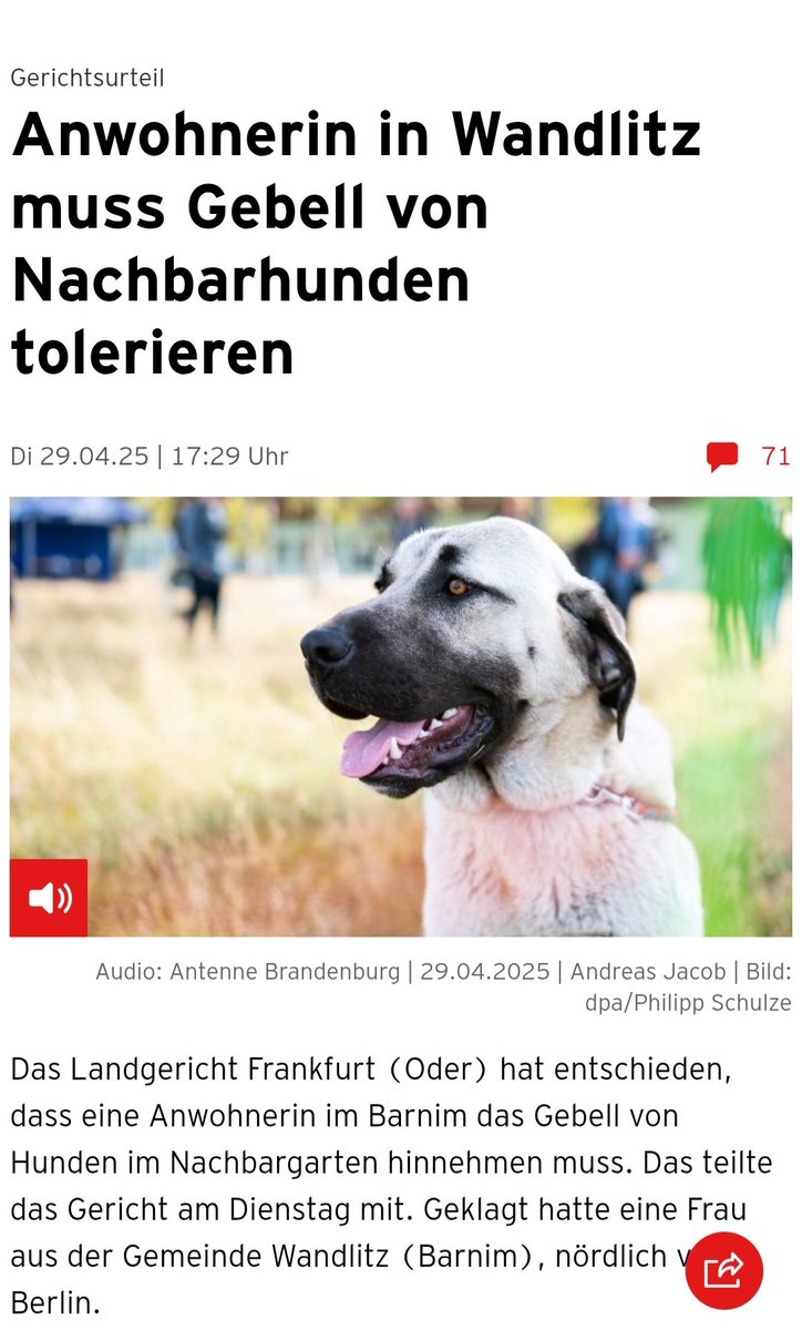 DooJol's tweet photo. Gott sei Dank das #LG #FFO hat noch Sinn und Verhältnis bewahrt. Was würde passieren wenn #Hunde nicht mehr #bellen dürften und mit fadenscheinigen #Zeugen aus der #Verwandtschaft man seine abstruse Vorstellungs #Welt allen aufzwingen könnte. #Freiheit für die #Hunde #rbb https://t.co/g73jVCYiSM
