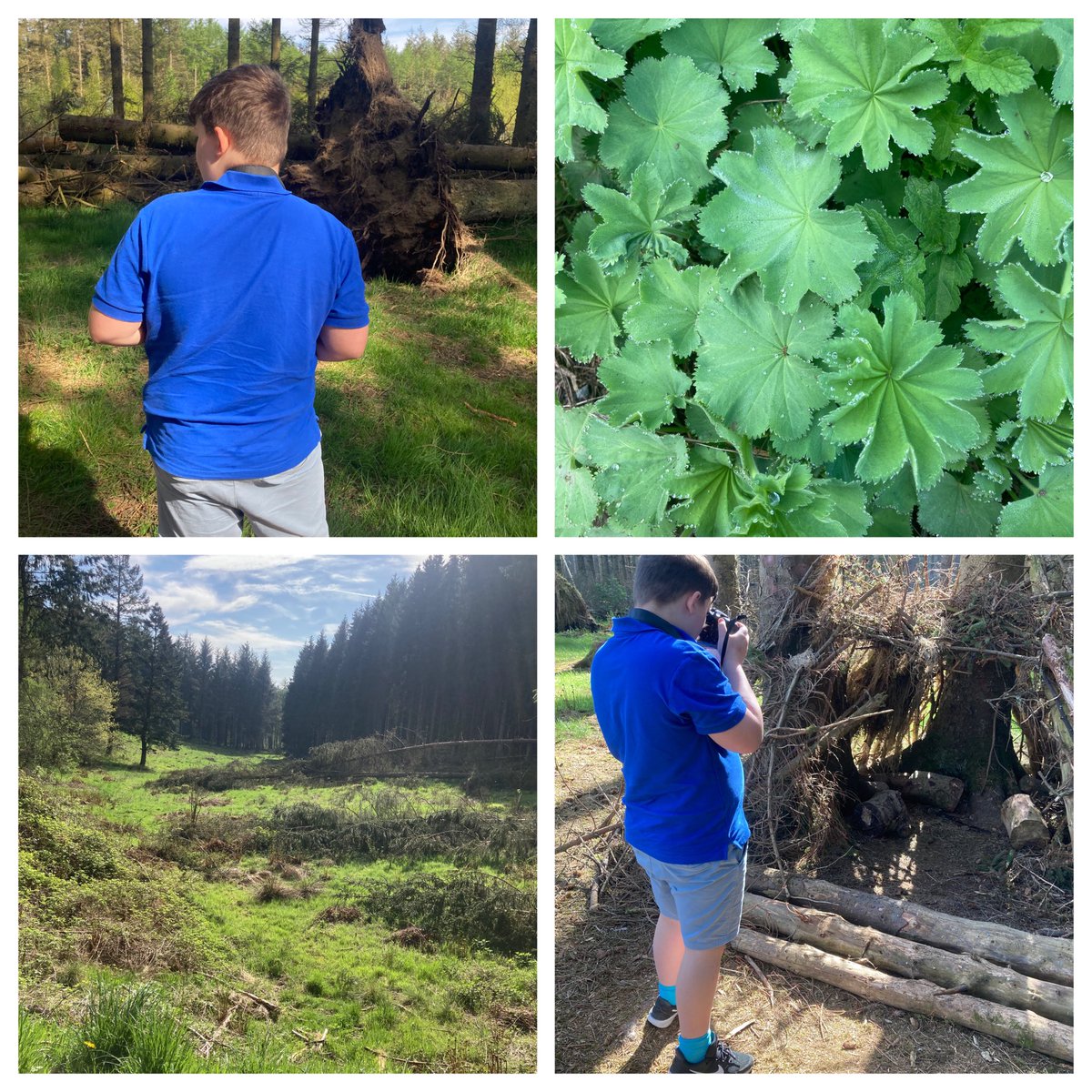 Ms Murray (@lianelaird) on Twitter photo Continuing work today on our woodland trust award . Photography offers numerous benefits, including boosting mental wellbeing, fostering creativity, and improving memory. It can also be a form of mindfulness and help with self-expression <a href="/IWBSFalkirk/">Inclusion&Wellbeing</a> Continuing work today on our woodland trust award . Photography offers numerous benefits, including boosting mental wellbeing, fostering creativity, and improving memory. It can also be a form of mindfulness and help with self-expression <a href="/IWBSFalkirk/">Inclusion&Wellbeing</a>