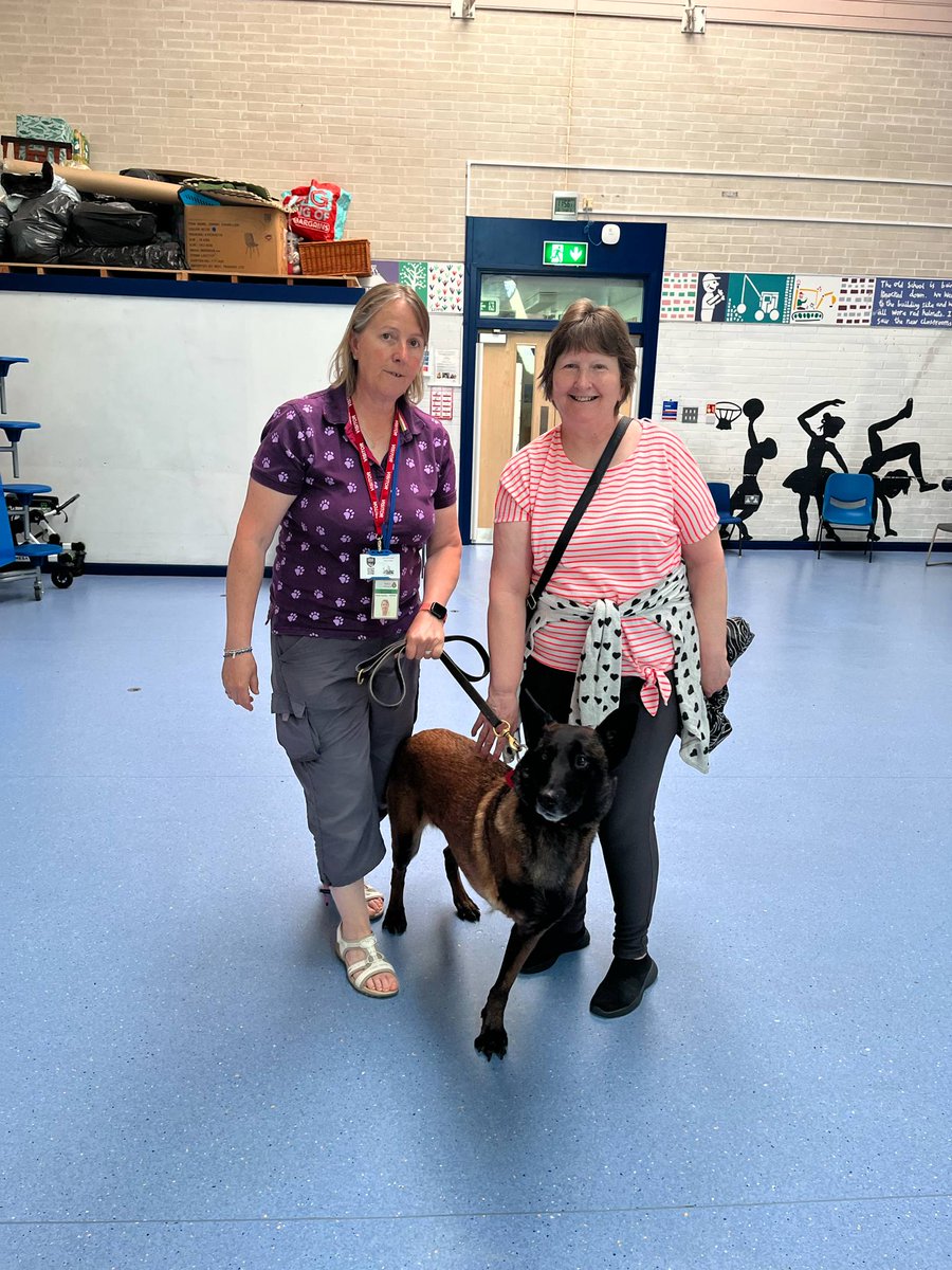When mum decided to wind me up because she see <a href="/Chappers2013/">Chappers 🐾🐝 🙋‍♀️</a> and Baloo 😔🤣. Roll on Sunday when I hopefully get to see this beautiful lady at the all about dogs show 🥰