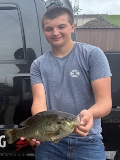 MDC_online's tweet photo. Give it up for Riley Isaacs on sticking the first state record fish of 2025! He was bowfishing at Lake Taneycomo April 18 when he shot this 2-pound, 3-ounce redear sunfish. Read his fishing story at https://t.co/r5hDyMPn0s
#StateRecordFish #RedearSunfish https://t.co/utAP5Kemve