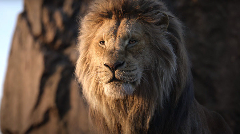 SCVFILMES's tweet photo. MUFASA (DRIVE)
Link: https://t.co/mu1TYSVbSt https://t.co/508ysmEwmx