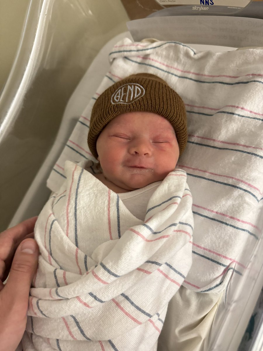 Wood Hawker tweet media