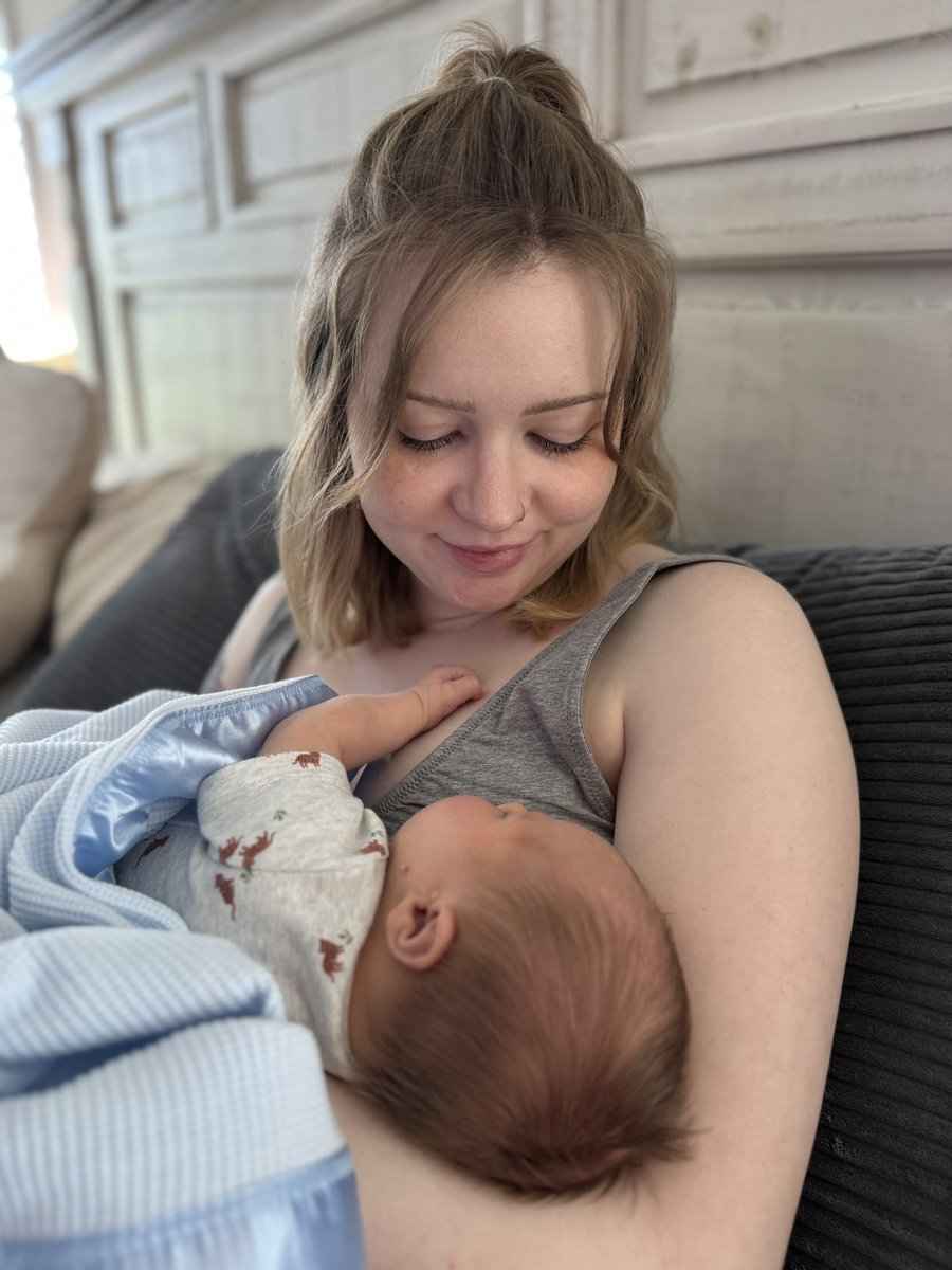 Wood Hawker tweet media