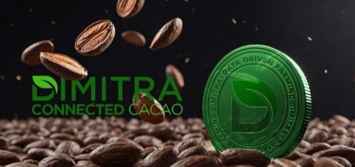 tagwireyih's tweet image. 📢 Do you know the relationship between #AI &amp;amp; Chocolate?🍫
Over 5 million tons of cocoa are produced annually by small farmers,with 40% processed in Europe. New #EUDR now require #zerodeforestation guarantees from these farms.
$DMTR Dimitra is assisting with compliance!
$BTC $SOL