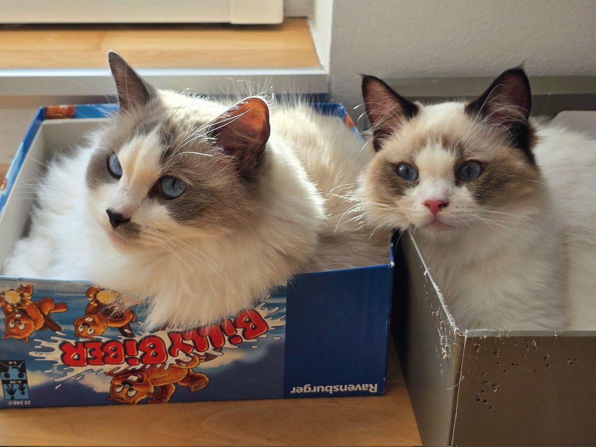 Dvojni pozdrav 😻😻