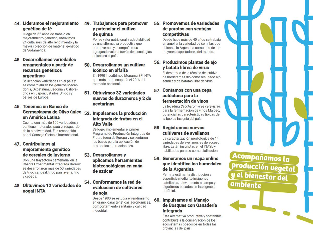 Alejandro Conci tweet media