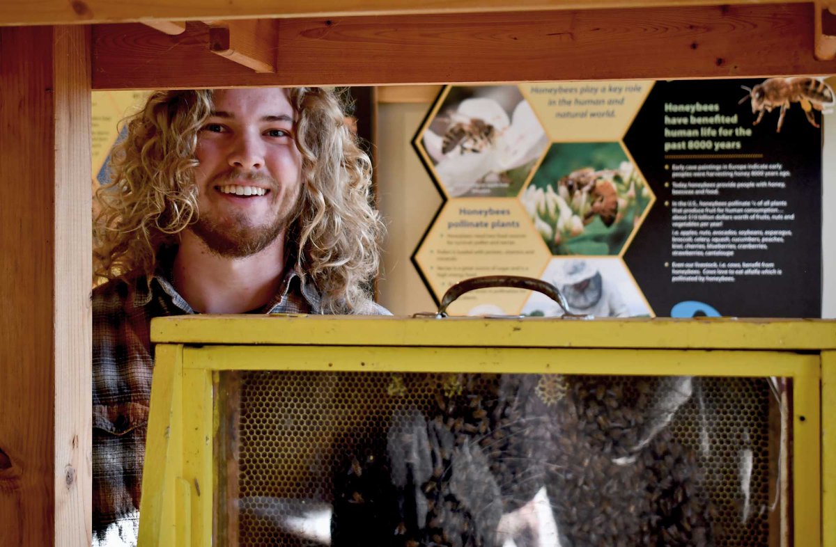 WillCoForests's tweet image. Meet our new buzz-worthy team member! We're thrilled to introduce the Forest Preserve's new beekeeper, who's helping protect pollinators and educate the public along the way ➡️ reconnectwithnature.org/news-events/ne…
#PollinatorPower #Beekeeping