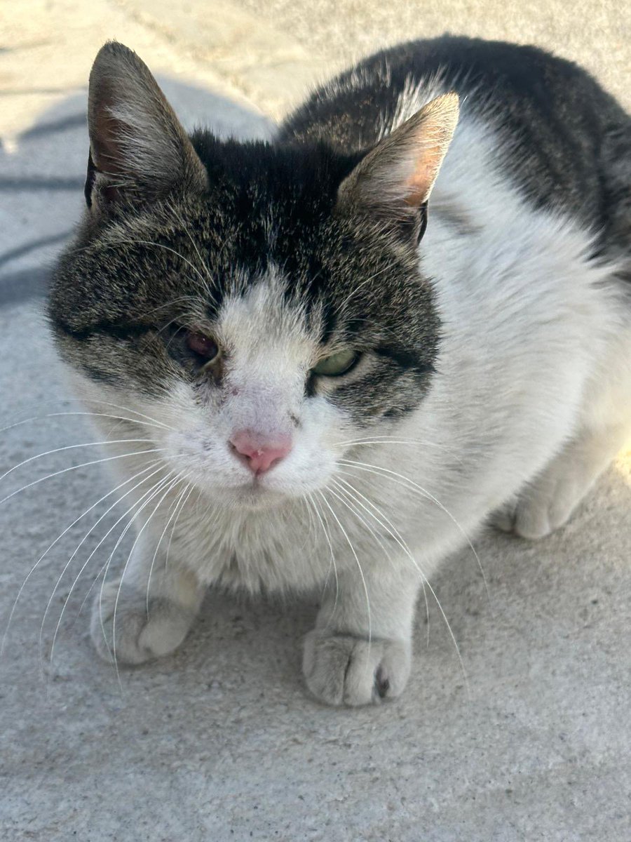 Erzincan’da olan veya tanıdığı olan varmıdır?Tek başıma bu çocuğa yardım etme imkanım yok.