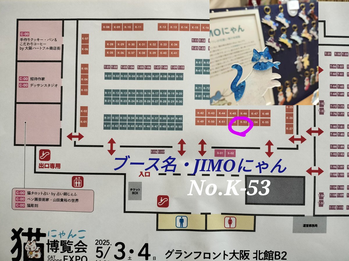 GW後半は！ニャンコ！ 久々にJIMOにゃんが主役です✨ 猫好きの方は是非