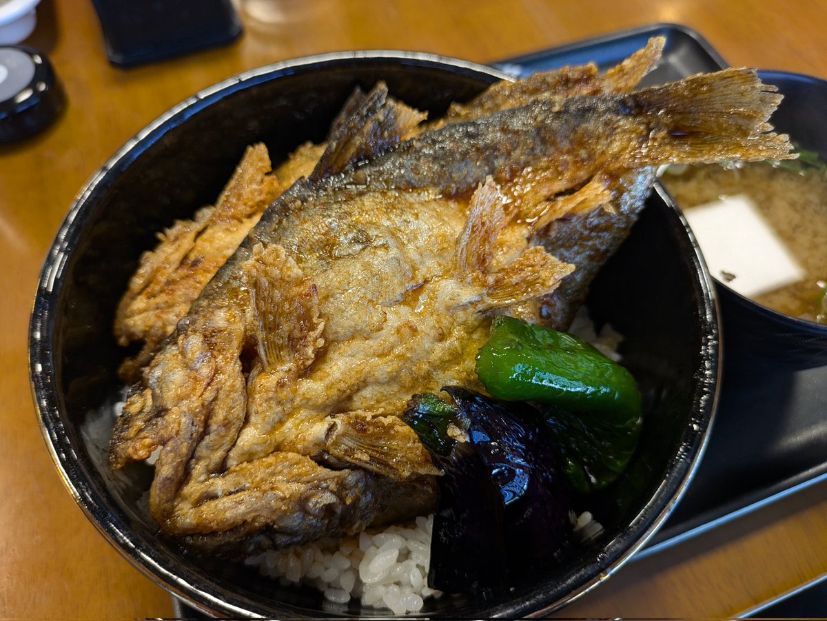 shinanomon's tweet photo. 平岡駅に併設の食堂で食べれるヤマメの清流丼はマジでうまいから、天龍村まで遊びに来てほしい。 https://t.co/SG5n0pBTCD