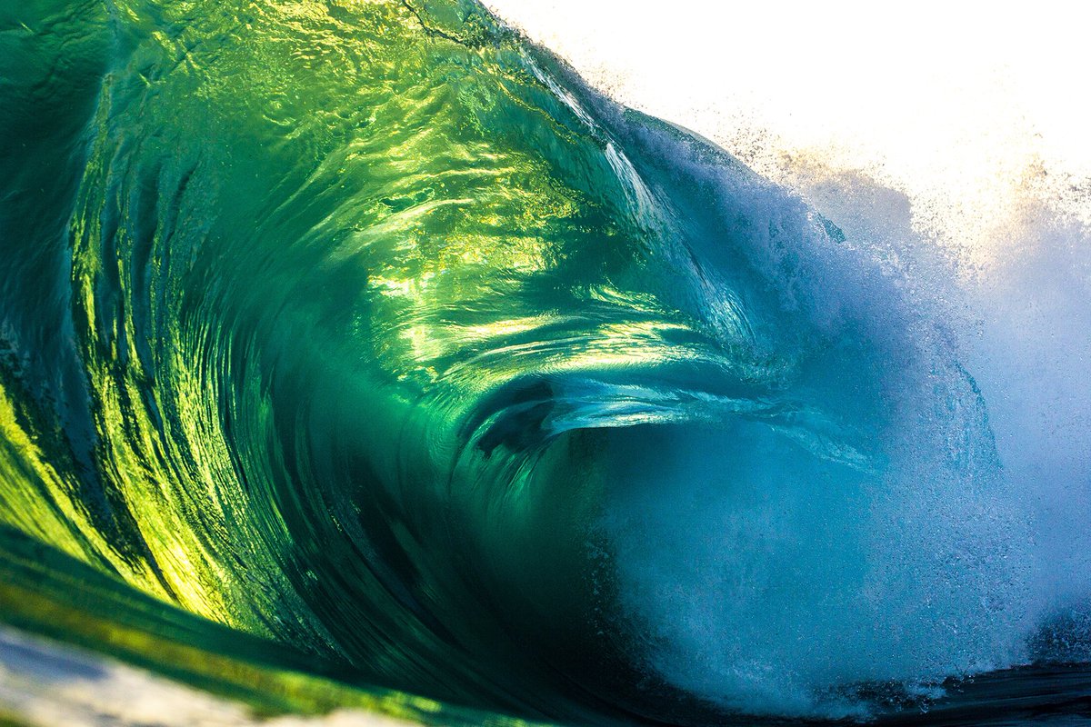 Kim Feast tweet media