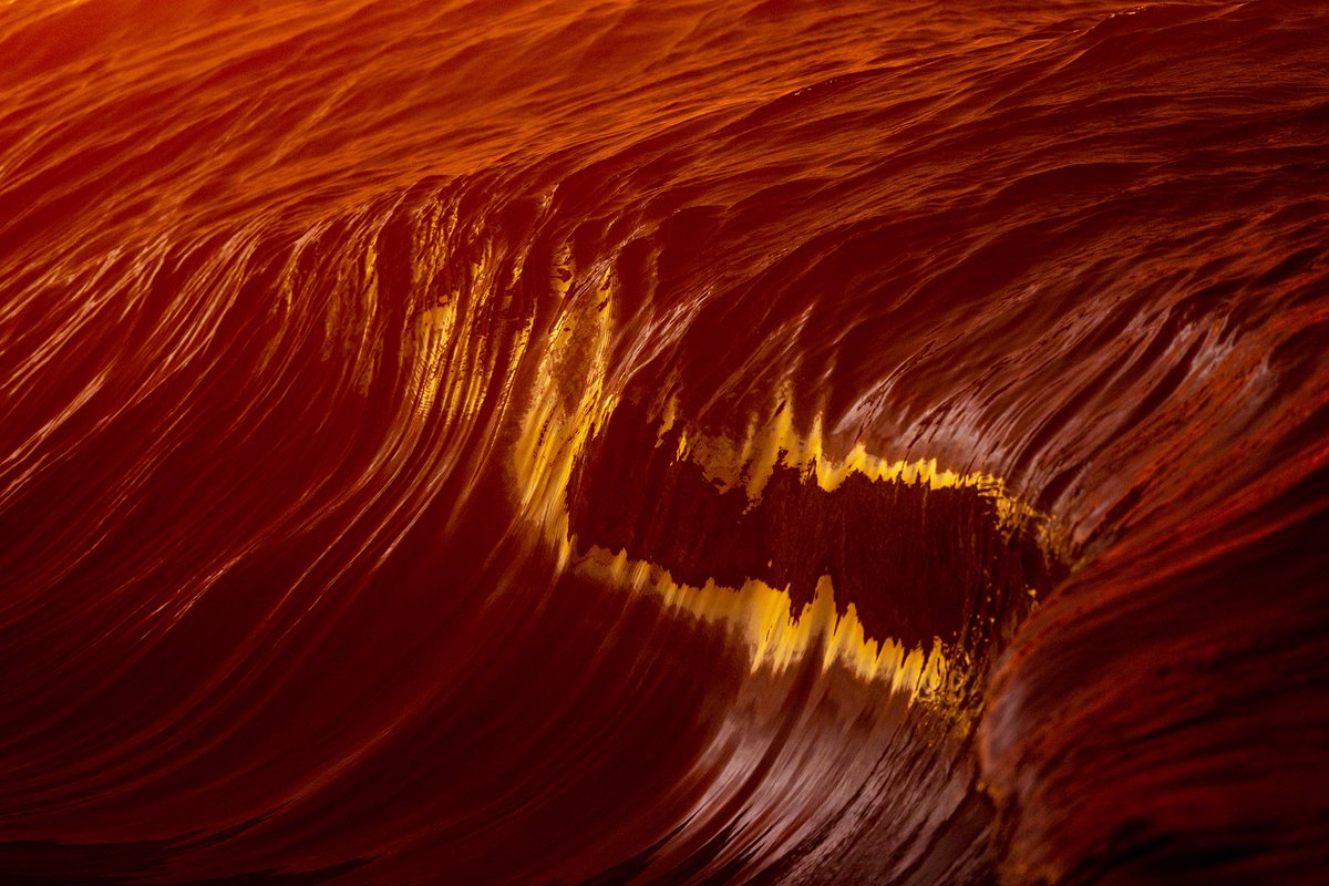 Kim Feast tweet media