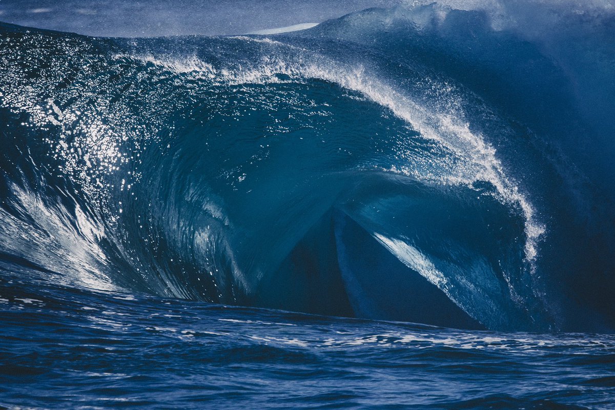 Kim Feast tweet media