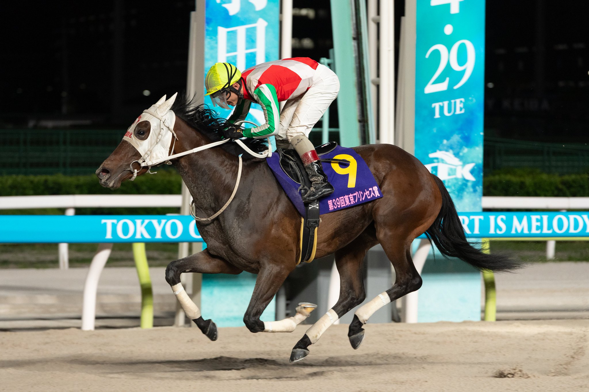 【トゥエンティーズ】競馬で勝ちました sddefault.jpg