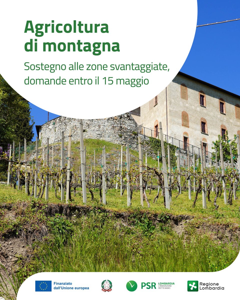 RegLombardia's tweet photo. #PAC2327 #SviluppoRurale #Lombardia 17 milioni di euro a sostegno delle #ImpreseAgricole in zone svantaggiate di #montagna.
📌 Domande entro il 15 maggio.
➡️ Più info: https://t.co/zKjir4oEBc https://t.co/7rhTGzyP9S