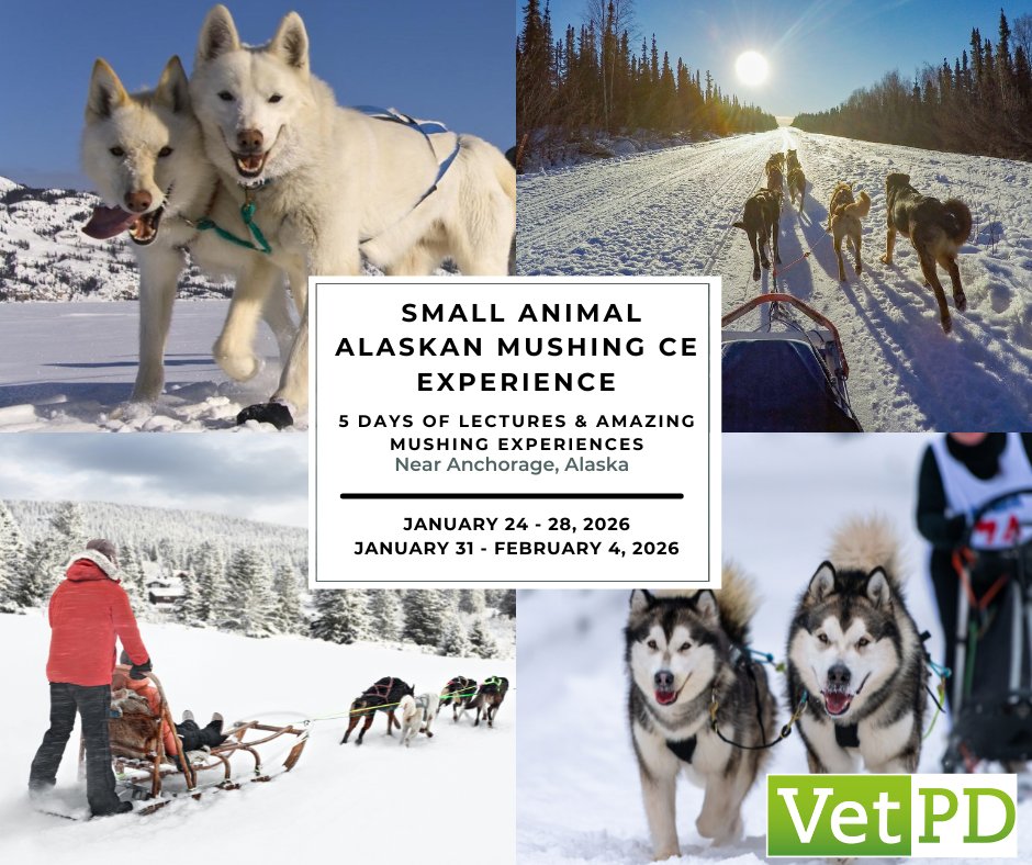 Just Announced: 2026 Dates Are LIVE! 
Join us for 5 unforgettable days of sled dogs, stunning Alaskan views, and top-tier veterinary CE at our Small Animal Alaskan Mushing CE Experience!
loom.ly/pIgwO14

#veterinaryCE #veterinarycontinuingeducation #vetce