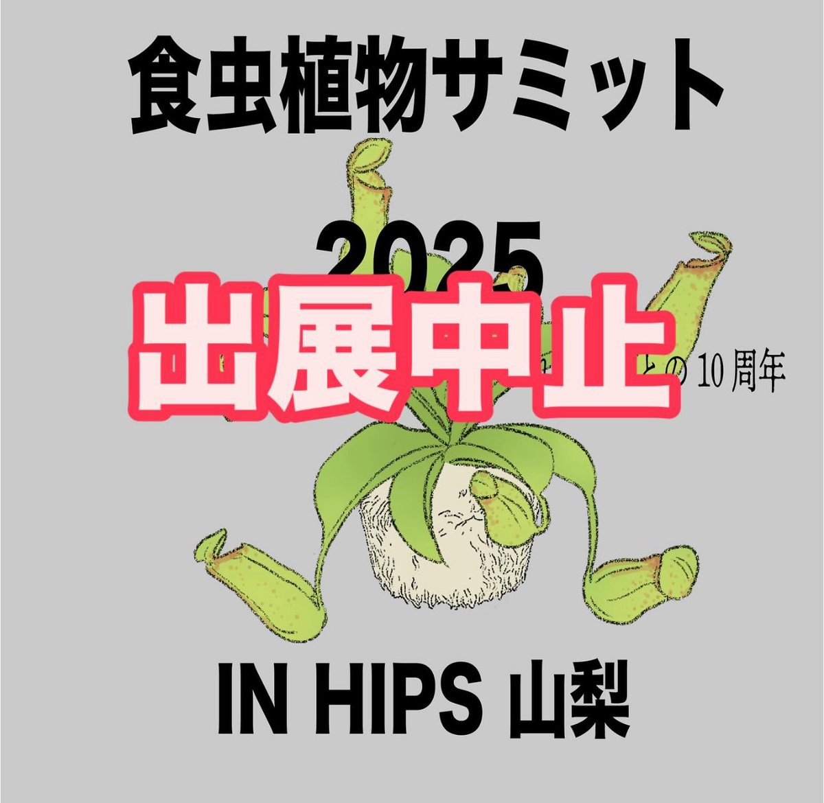 楽しみにしていたヒーローズピッチャープランツさんの食虫植物サミット！
突然の体調不良で今回は急遽不参加となりました。
楽しみにしていたことが走馬灯のようになくなる、、、
カレー！焼き鳥！食虫植物買い漁り！残念ですが、大人しくして療養いたします。